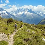 Ancolie - 1 Bedroom Close To The Slopes - By Cozee Chamonix