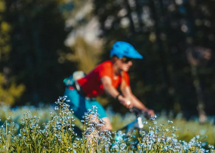 Ancolie - 1 Bedroom Close To The Slopes - By Cozee Apartmán *